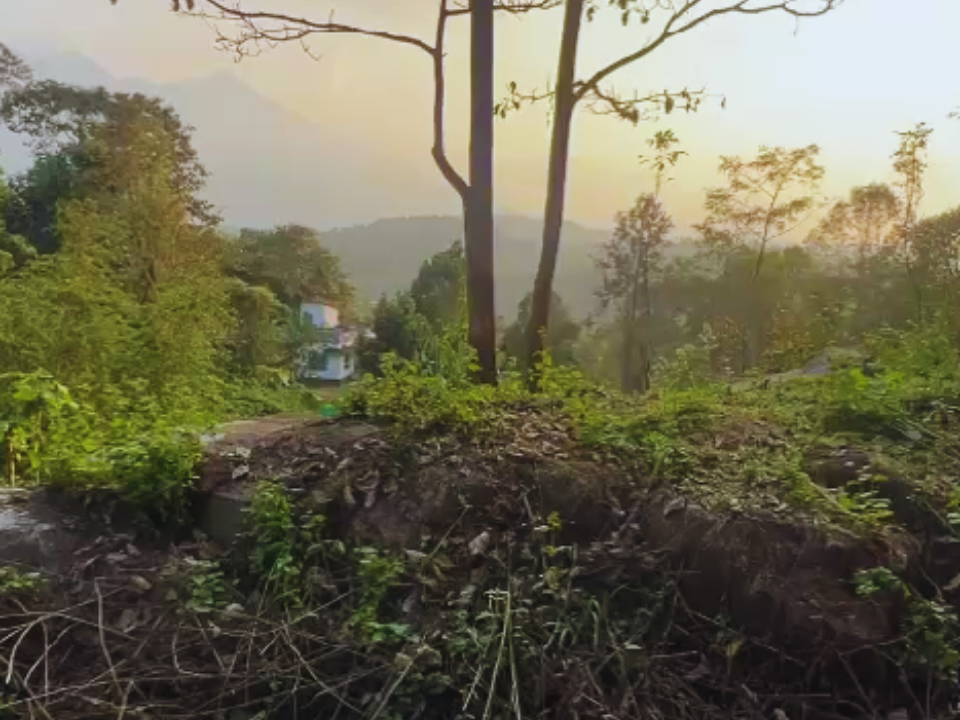 Kalpetta property pic (1)