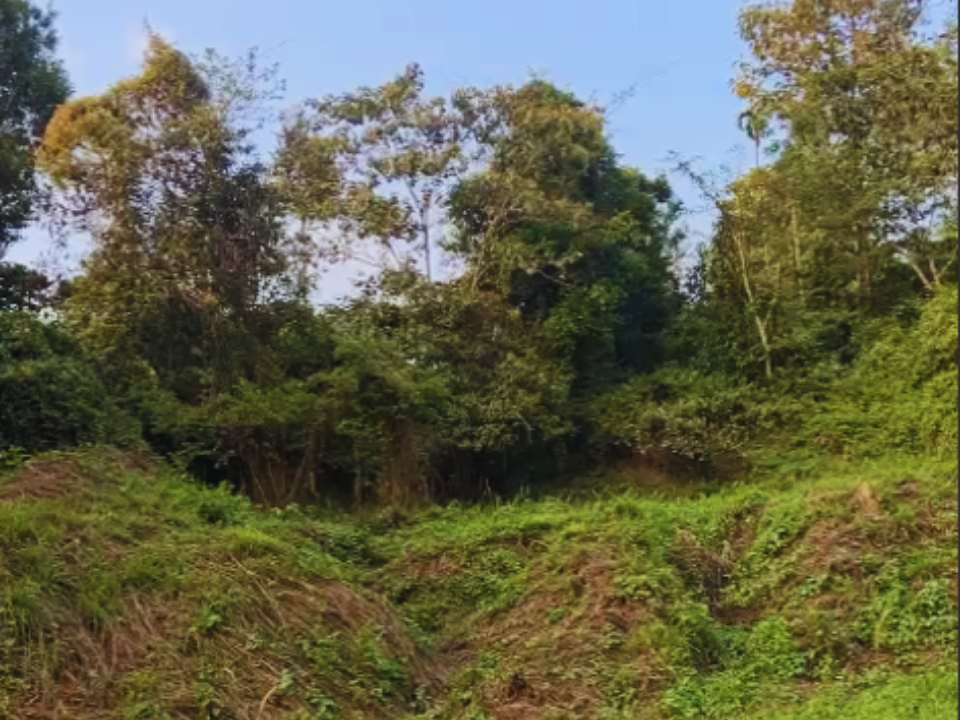 Kalpetta property pic