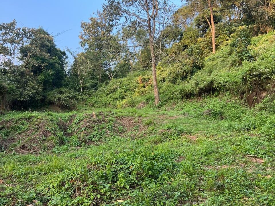 WhatsApp Image 2024-12-31 at 12.28.45_d19d365e