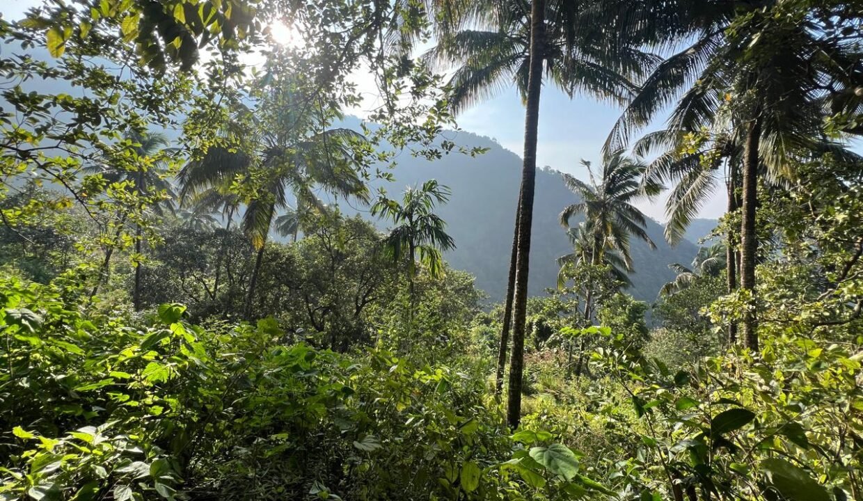 WhatsApp Image 2024-12-31 at 12.44.04_7865763b